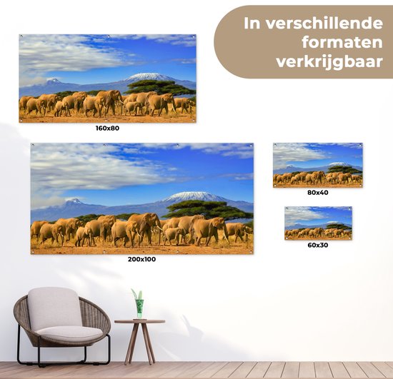 Poster de jardin Eléphant - Berg - Tanzanie - 80x40 cm - Décoration murale Outdoor - Poster de jardin - Toile de jardin - Poster de clôture - Tableau de jardin