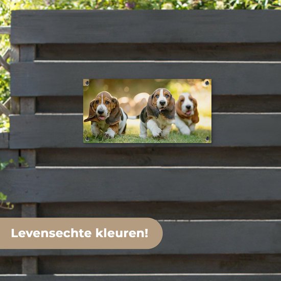 Poster de jardin Les chiots courent dans l'herbe - 60x30 cm - Toile de jardin - Poster extérieur