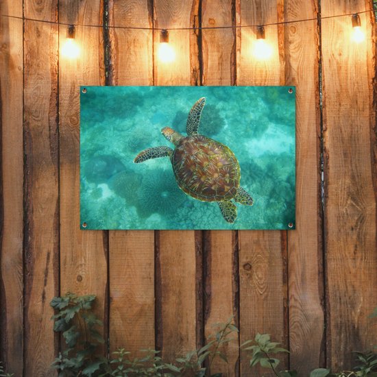 Affiche de jardin Tortue de mer au Reef d'Apo - 100x60 cm - Décoration murale Outdoor - Affiche de jardin - Toile de jardin - Affiche de clôture - Tableau de jardin