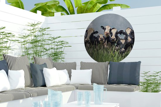 Cercle de jardin Ciel gris au dessus du troupeau de vaches frisonnes - 60x60 cm - Affiche jardin