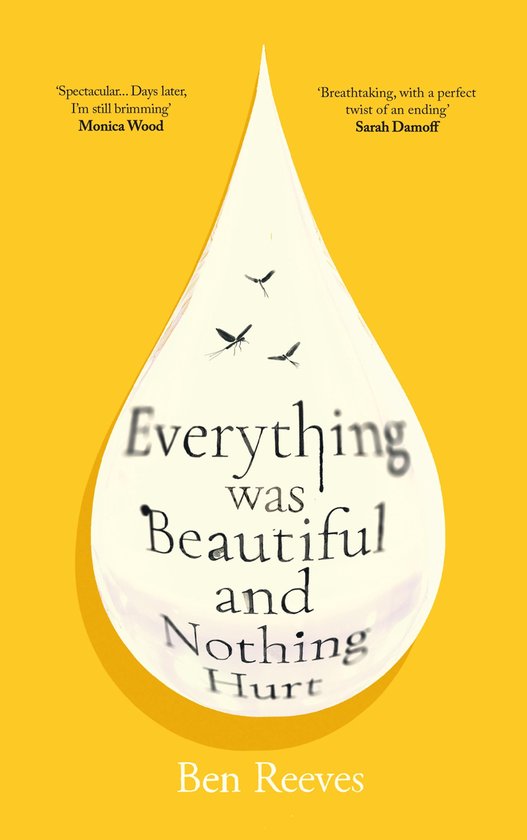 Everything was Beautiful and Nothing Hurt - cover