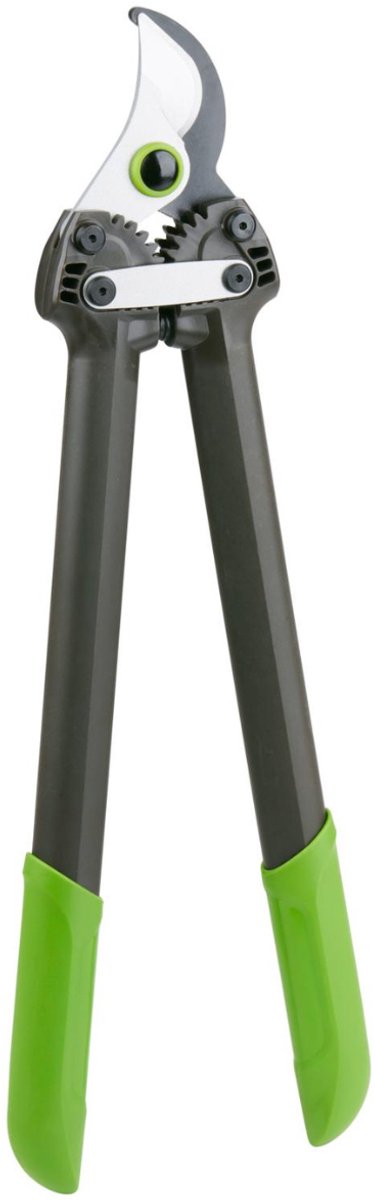 Kinzo Bypass Snoeischaar – Takkenschaar met Lange Armen – 20 mm Snoeicapaciteit – 50 cm – Tuingereedschap voor Levende Takken – Antislip Handgrepen – Lichtgewicht