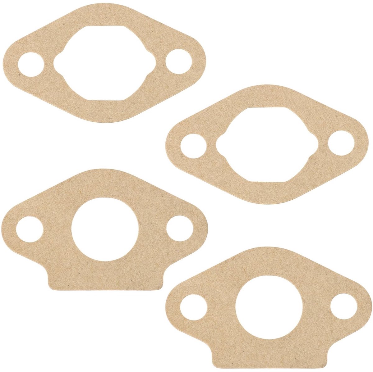 Dailygoods - Carburateur Pakking Set voor Atco Grasmaaiers