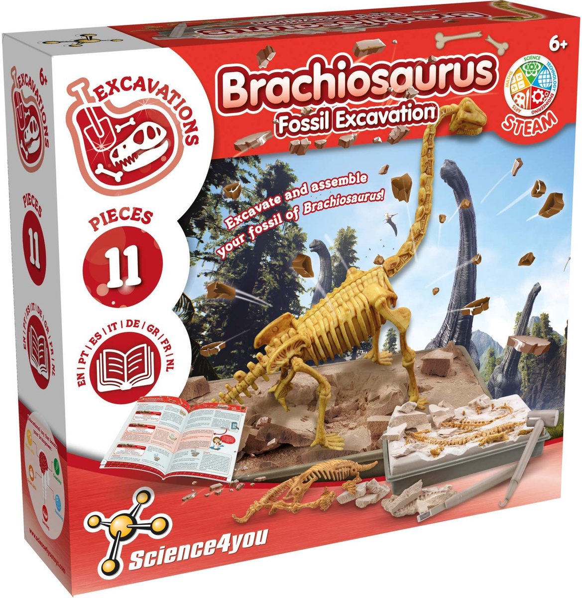 Brachiosaurus, opgravingsset voor kinderen +6 jaar - Graaf en monteer 11 dinosaurusfossielen met dit paleontologische, archeologische speelgoed voor kinderen, wetenschappelijke spellen van 6-10 jaar