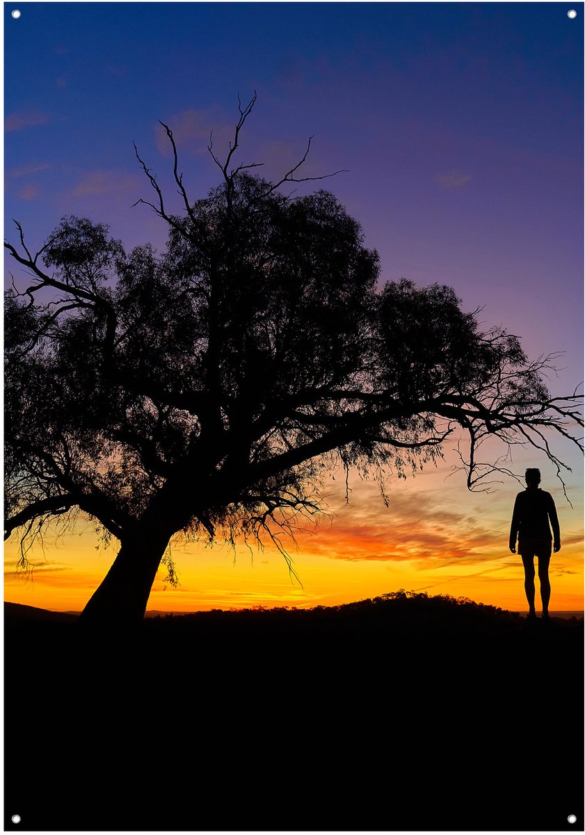 Zonsondergang Silhouet Boom - Tuinposter - Tuindoek - 70x100 cm - Buitenposter - Schuttingdoek - Tuinschilderij voor Buiten