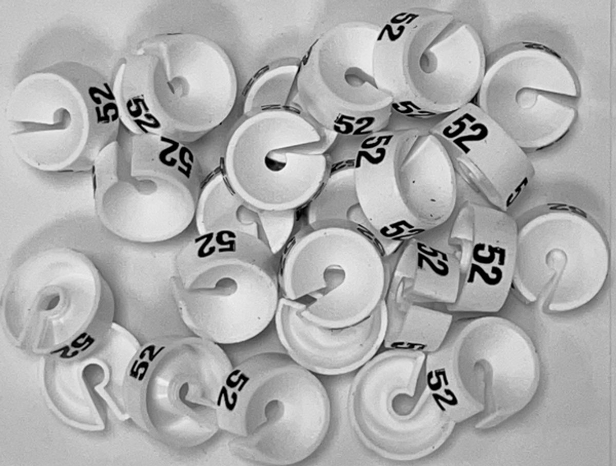 Bleijenberg Maatdopje maat 52 wit - Maataanduiding voor kledinghangers per 25 stuks - Maatringetje Ø 20 mm - Kledinghangers - Kleerhanger - Kapstok - Mark-Brics - wisersizer