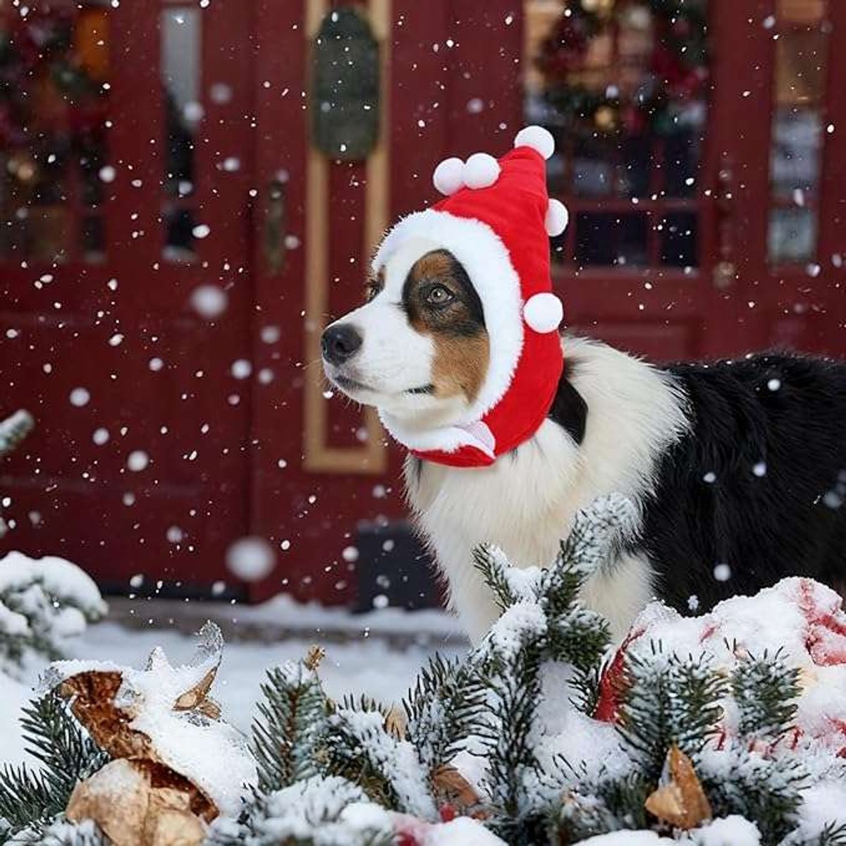 CE - Kerstman Hoed voor Honden - Verstelbaar - Rood - Maat M