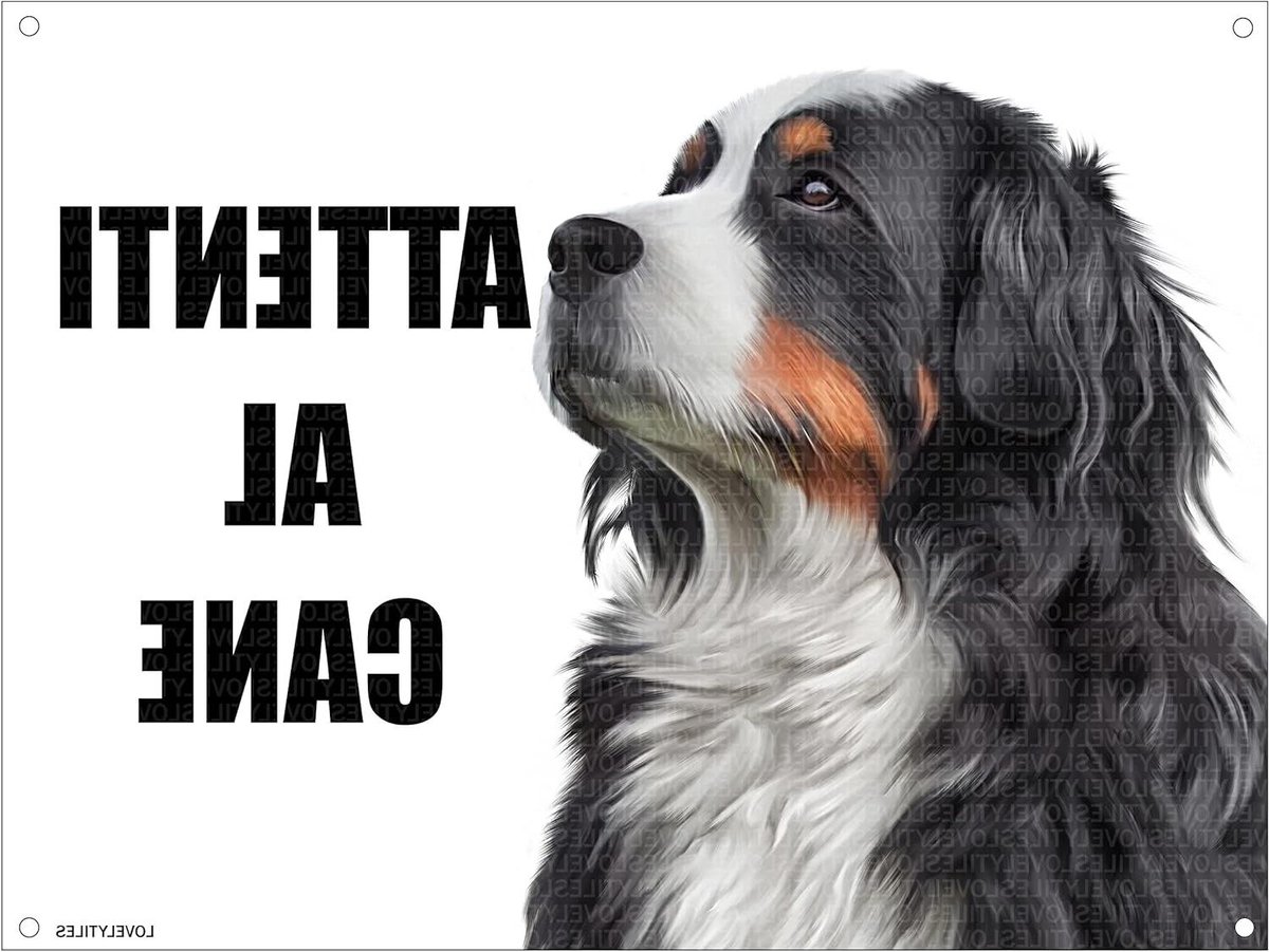 BERNESE HONDEN MOD 2 TARGA bord van metaal 15X20