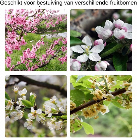 Handmatige Bestuiving Set - Tuingereedschap Set - Planten Groeibevordering - Precieze Stuifmeel Verdeling - 29 x 10 cm - Niet gespecificeerd — afbeelding 5