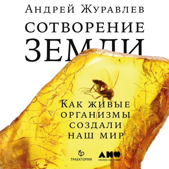  - cover