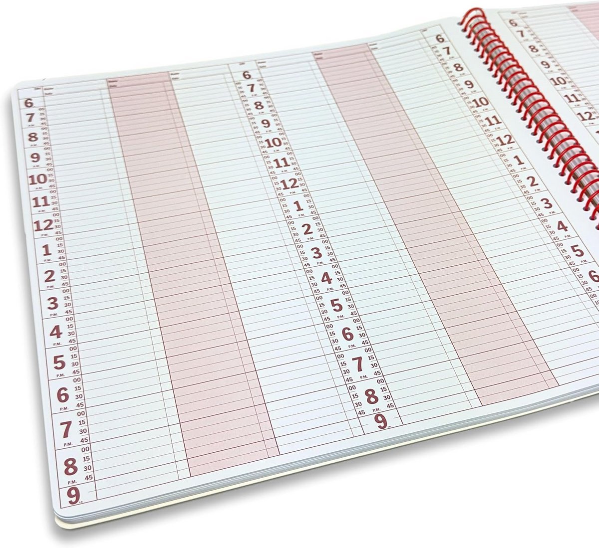Afsprakenboek Dagplanner - Agenda Planner - Professionele Planning - Half-uurs Indeling - 6 Kolommen - Zwart