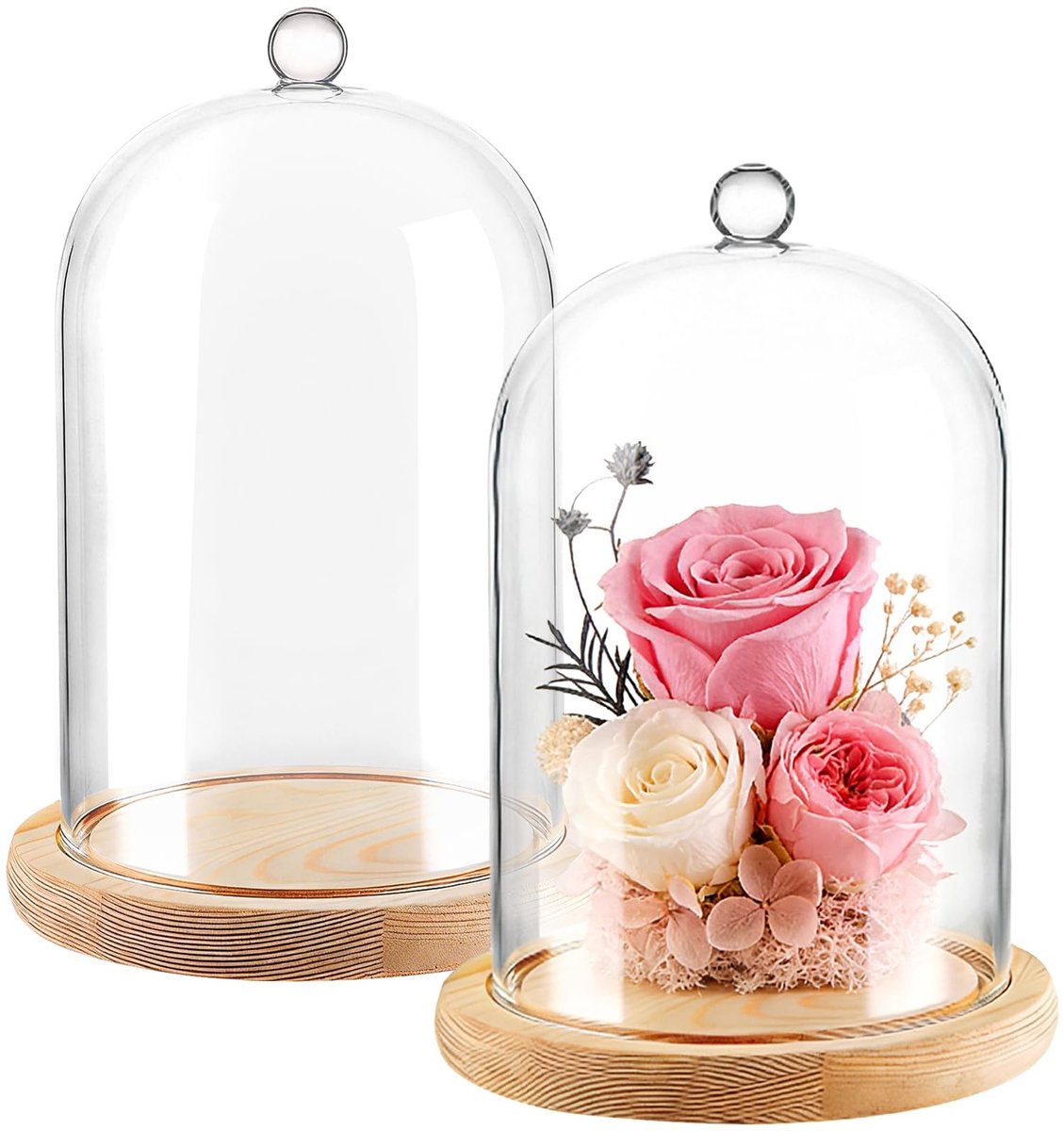 Dailygoods - Glazen Stolp met Houten Bodem - Decoratieve Koepel 18 cm Hoog, 2 Stuks