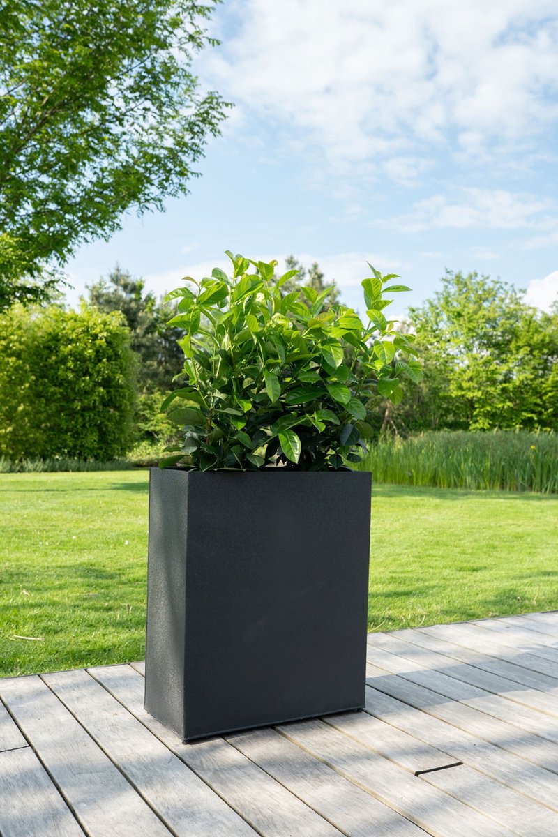 Divider Sten matzwart | 56 x 69 cm