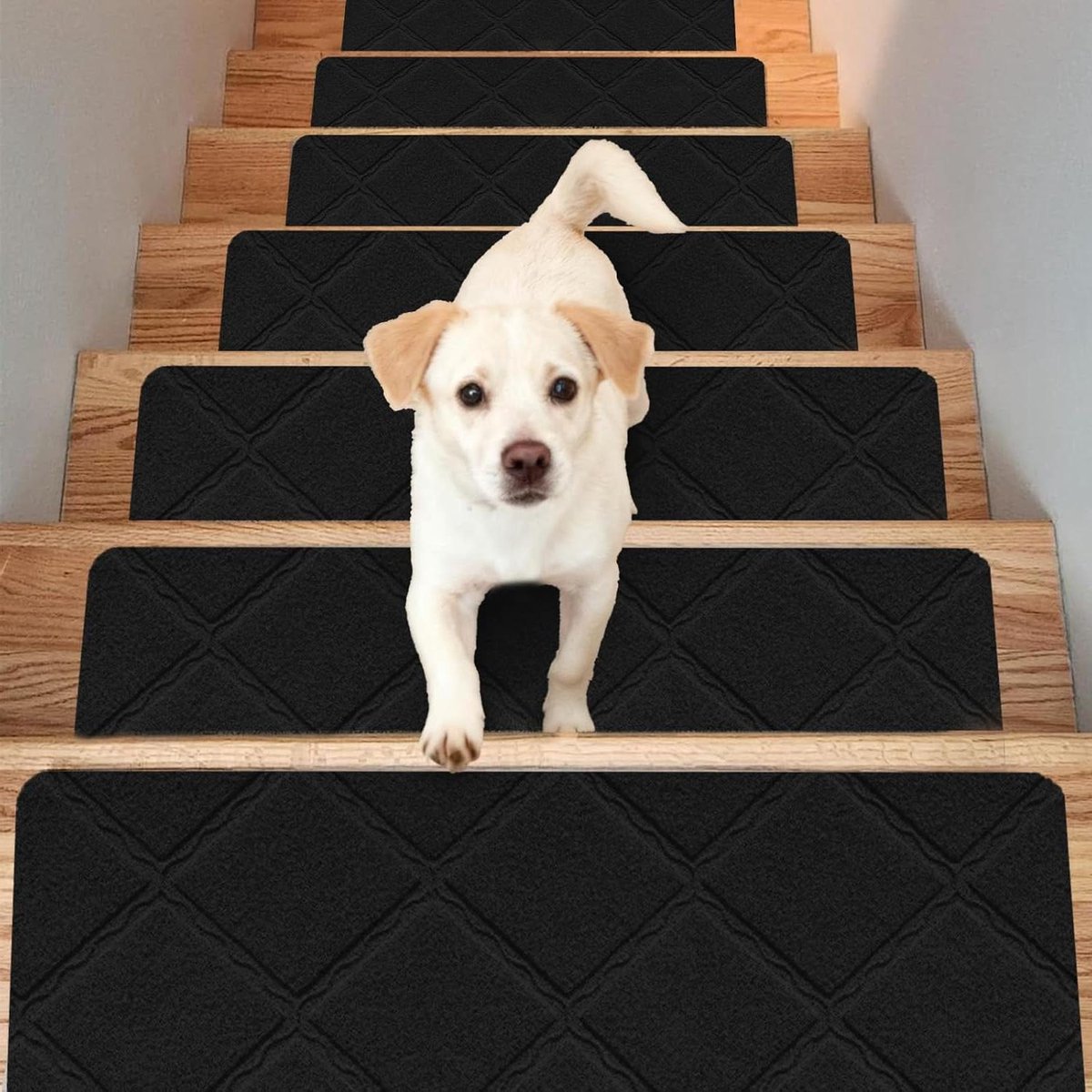 Trapmatten Set - Antislip Tredenmatten - Veilig Lopen - Herbruikbaar Zelfklevend - 15 stuks 55x19cm - Zwart