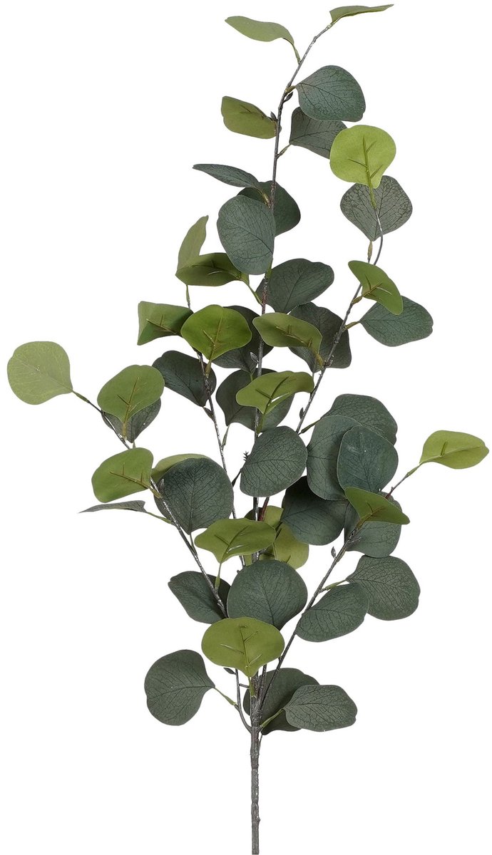 Mica Decorations Kunstplant takken Eucalyptus - H90 cm - lichtgroen - kunststof - bladgroen - siertakken