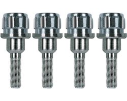 Antidiefstalbouten - Wielsloten Set - Auto Beveiligen - Gelegeerd Staal - Set van 4 - Zilver