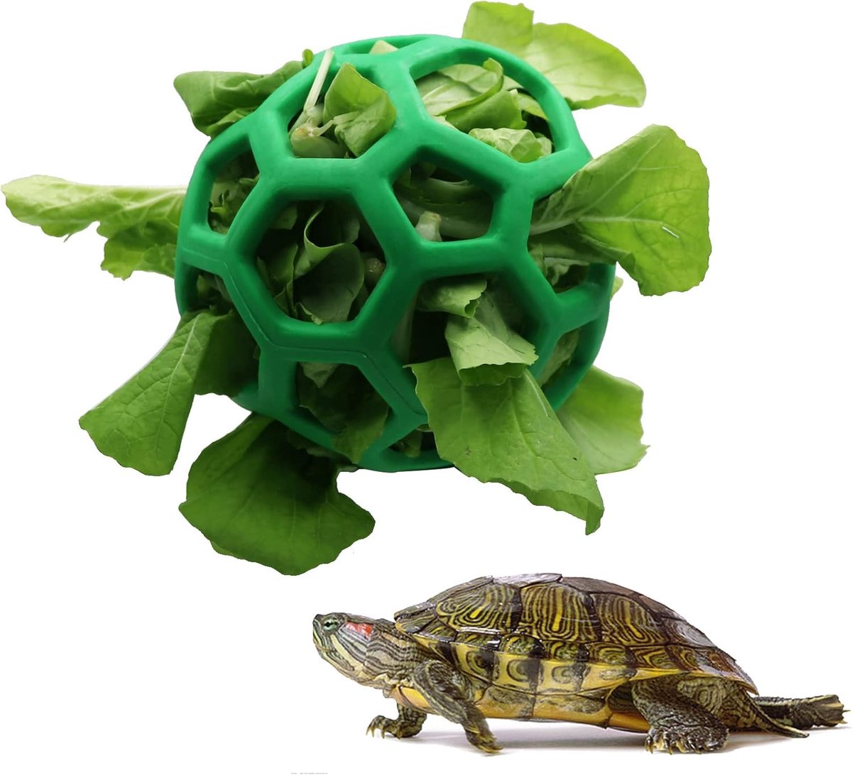 OLOEY Schildpaddenvoerbal-fruit- en groentevoer-huisdierspeelgoed-14 cm