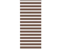 Zebra rolgordijn - Dubbel rolgordijn - Privacy en zonwering - Twee montagemogelijkheden - 100x200 cm - Bruin