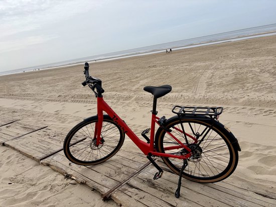 Premium e-bike met riemaandrijving en frame maat 53 cm van Merkloos — afbeelding 2