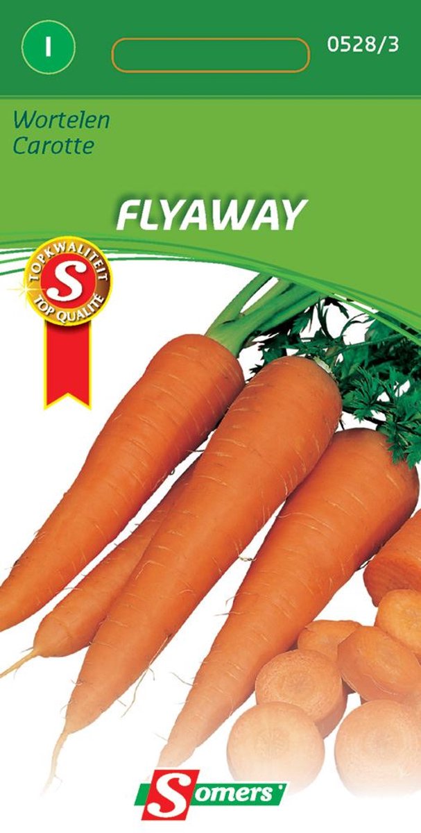 Somers zaden - Wortelen Flyaway