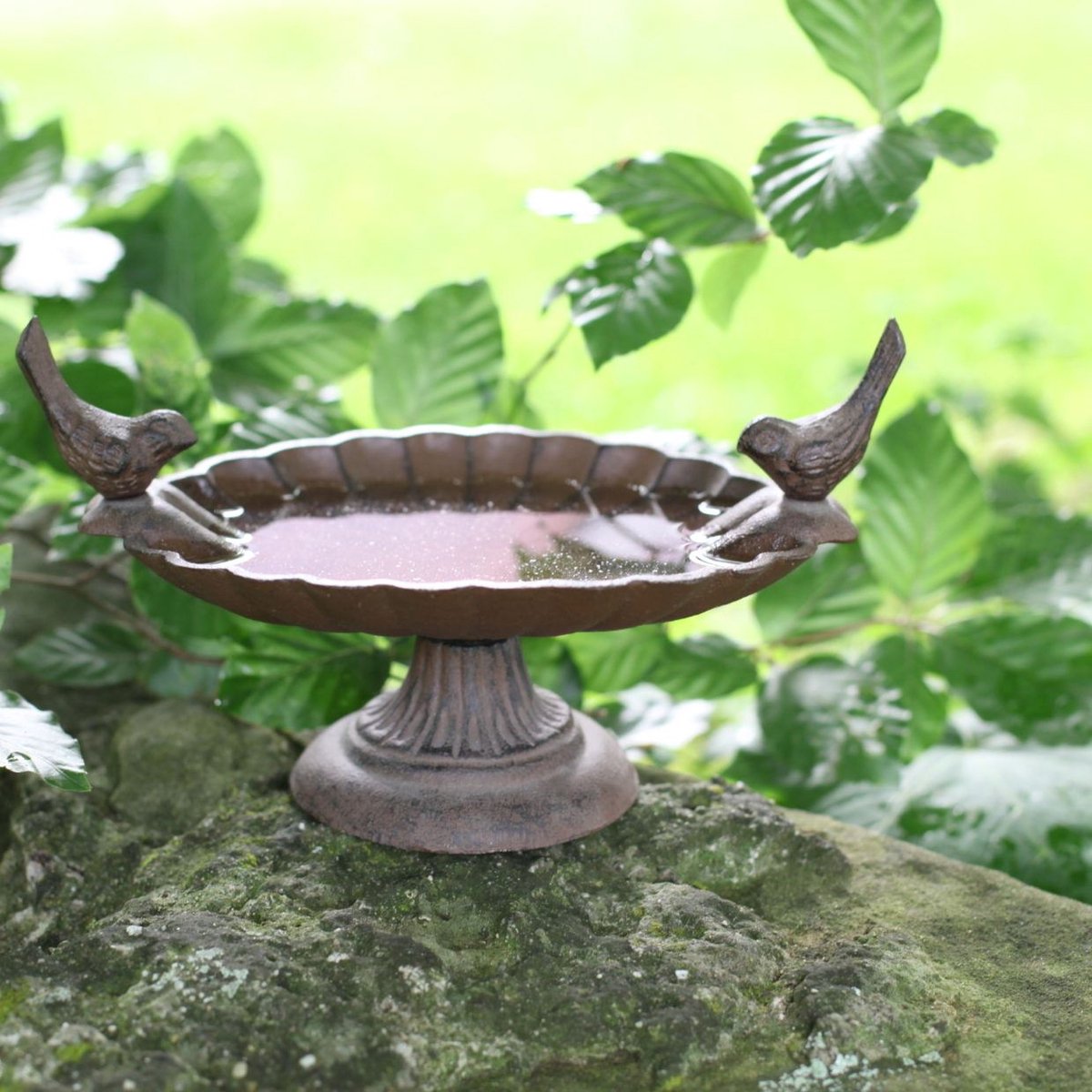 Best For Birds van Best for Birds — cadeau in Wonen & Interieur - foto 6