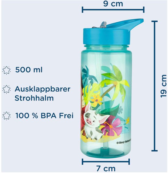 Disney Vaiana Serie - Bidon - 500ml - Veilig Materiaal - Nadruk Hoofdbetaalfiguren — afbeelding 3