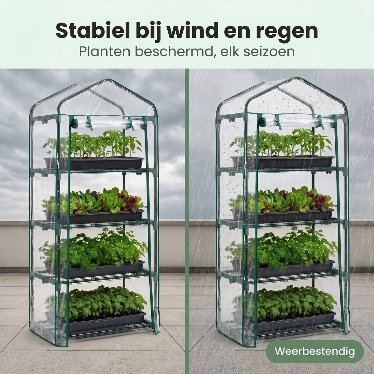 Cheqo® Broeikas - Kweekkas - Mini Kweekkas voor Balkon en Tuin - Tuinkas - Foliekas - Plantenkas - Miniserre - Serre - Tomatenkas - Moestuin - Kweekhuis - 4 Verdiepingen - Groente Kweken - Weerbestendig - Compacte Kas voor Terras en Balkon – foto 7
