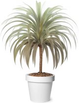 Mega Collections Cache-pot/pot de fleurs - plastique - blanc - extérieur - D30 x H27 cm