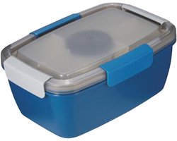 Bento Box – Dubbellaagse lunchbox met vakverdeling – Draagbare saladebox – Duurzaam – Lekvrij – BPA-vrij – Ideaal voor werk en picknicks