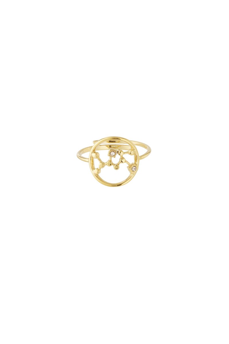 12 zodiac-ringen - Goudkleur