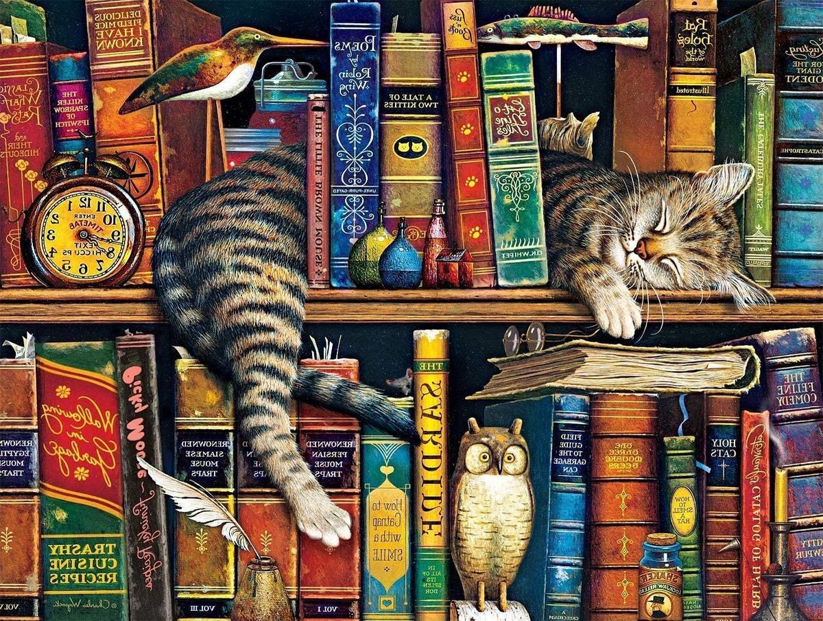 1000 Stuk Puzzel - Legpuzzel Volwassenen - Familie Plezier - Precisie Gesneden Stukken - 70cm x 50cm - Bookshelf cat