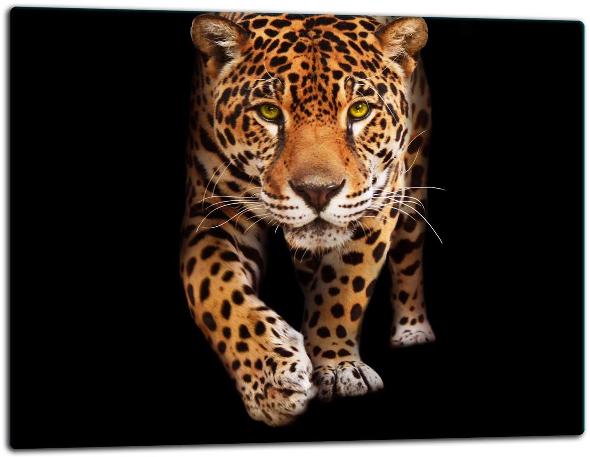 TMK ArtDeko - Snijplank - 52x40cm - Glas - Met Dierenmotief