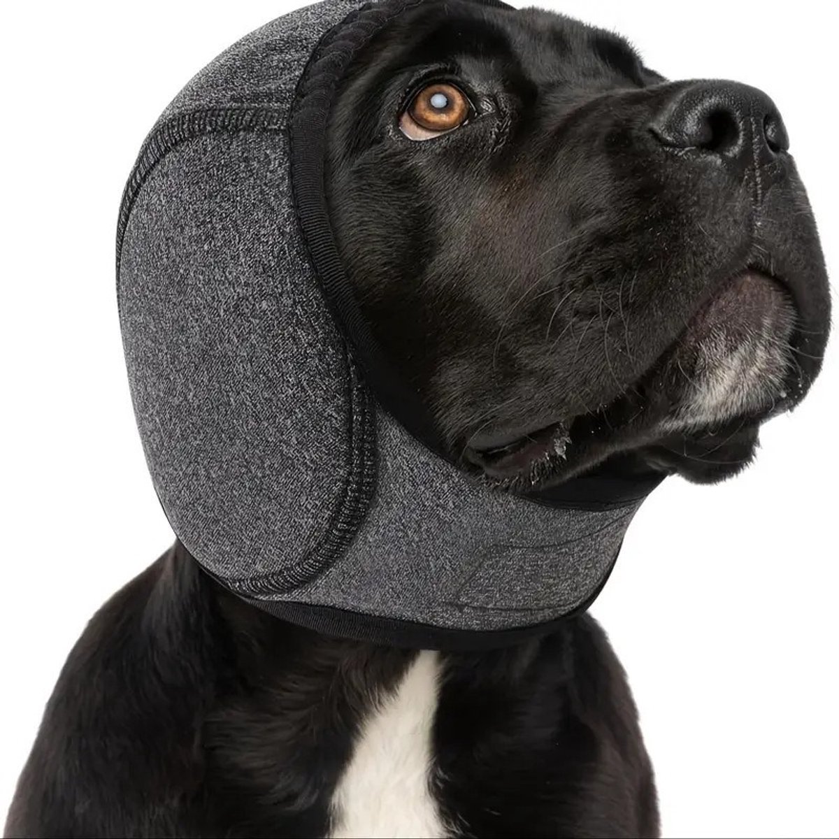 Waterdichte zwemhoofdbedekking voor huisdieren Oorbescherming & angstverlichting voor honden Grijs
