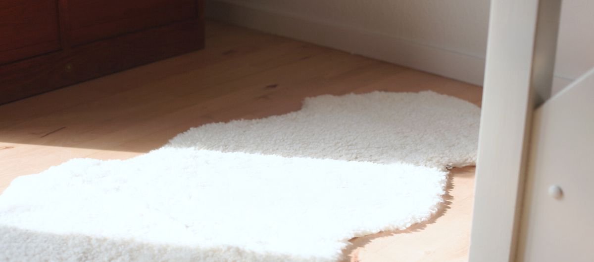 Sheepskin House - Dubbele Nieuw-Zeelandse Schapenvacht - Curly Kortharig â€“ 170x60 cm