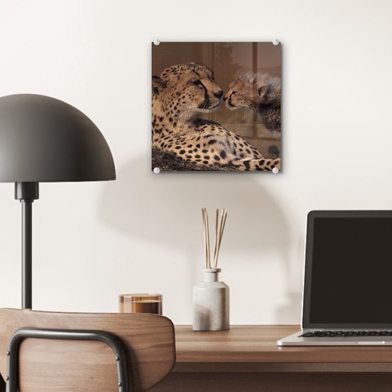 ® Glasschilderij 20x20 cm - Schilderij acrylglas - Cheeta moeder en welp - Foto op glas - Muurdecoratie woonkamer - Wanddecoratie slaapkamer - Schilderijen