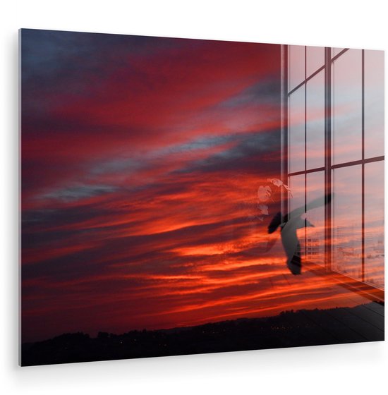 ® Glasschilderij 40x30 cm - Schilderij acrylglas - Silhouet van een stormmeeuw - Foto op glas - Muurdecoratie woonkamer - Wanddecoratie slaapkamer - Schilderijen