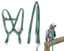Allecto - Bird Harness - Verstelbare Vogelriem - Voor het Wandelen met Jouw Vogel - Groen - Geschikt voor Papegaaien - Ideaal voor Macaws en Cock