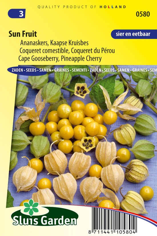 Ananaskers (Physalis peruviana)