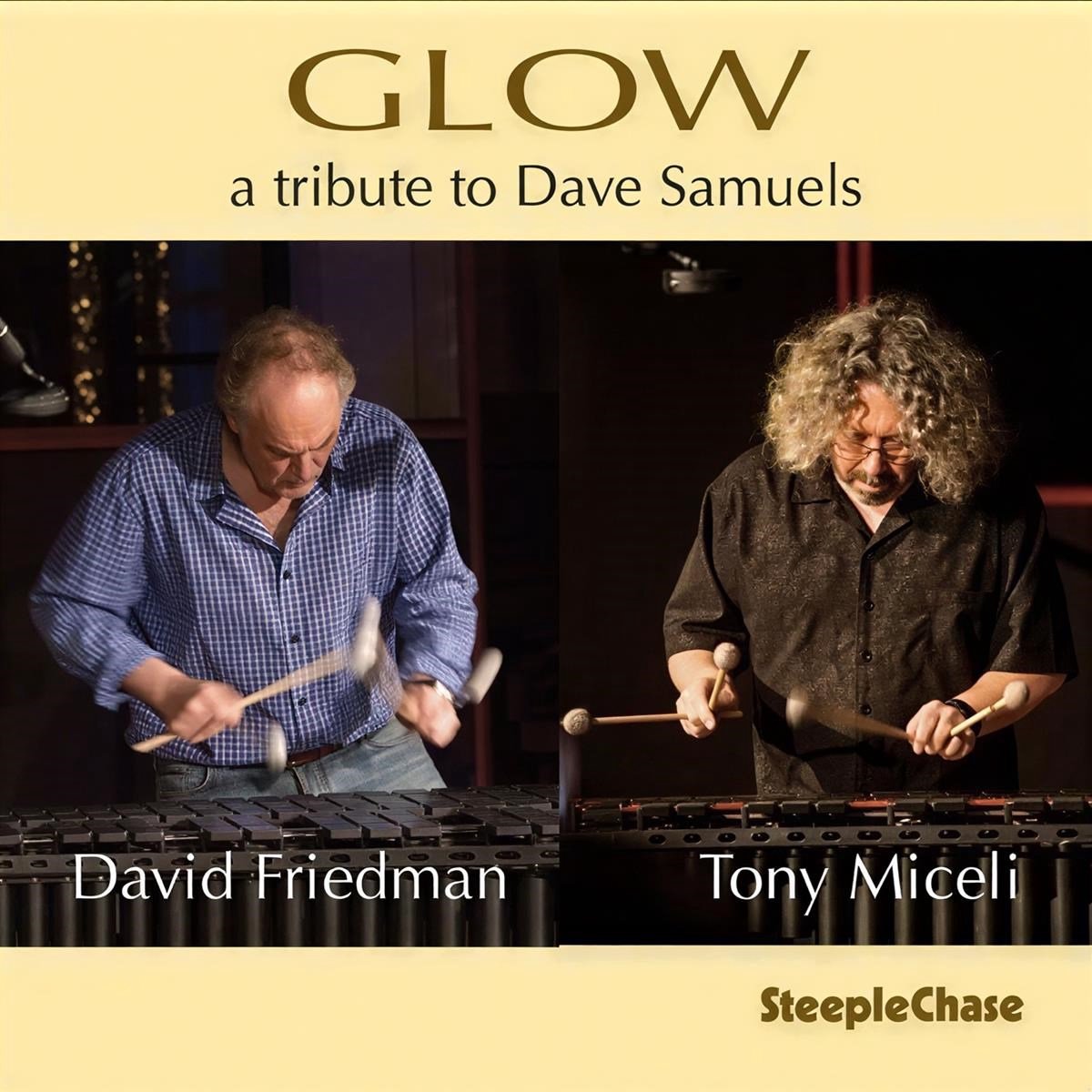 David Friedman & Tony Miceli - Glow: A Tribute To Dave Samuels (CD)