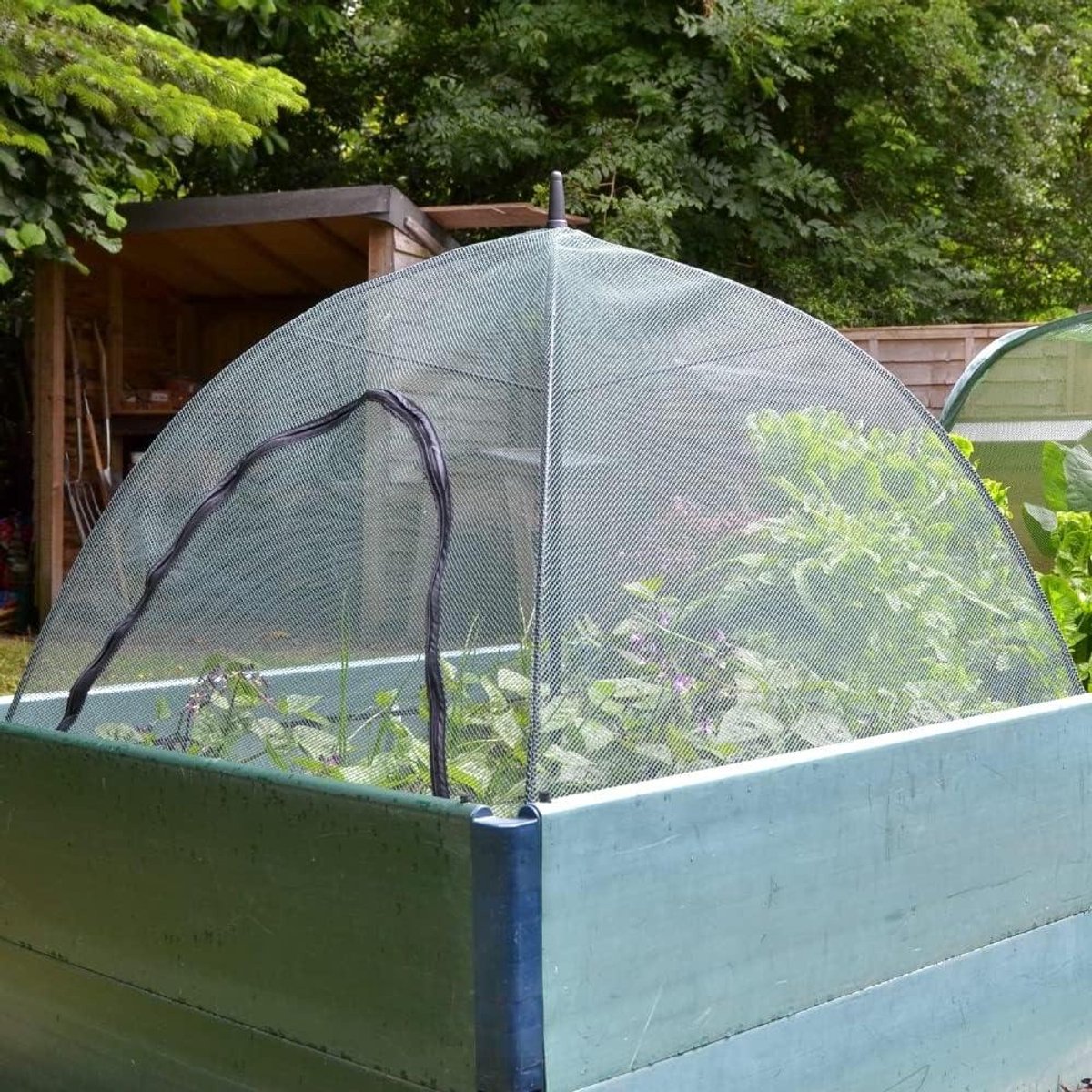 Plantenhoes Kweekkas - Beschermhoes Gewassen - Planten Beschermen - Direct Opzetbaar - 120 x 80 x 75 cm - Groen