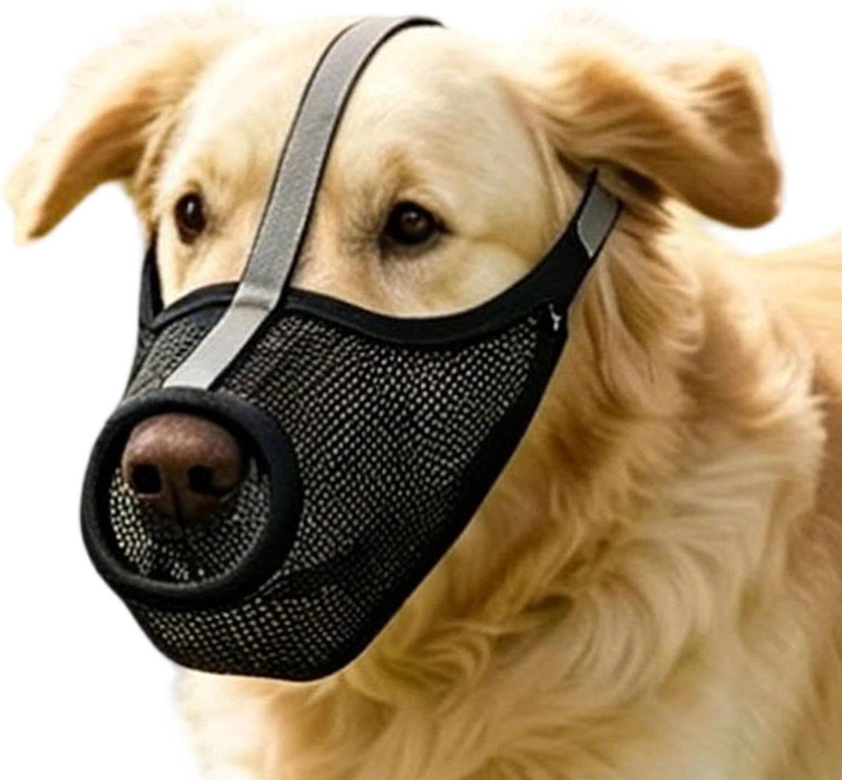 Hondenmuilkorf - Mondbescherming Hond - Veilig Wandelen - Ademend Mesh Materiaal - 27 gram - Zwart