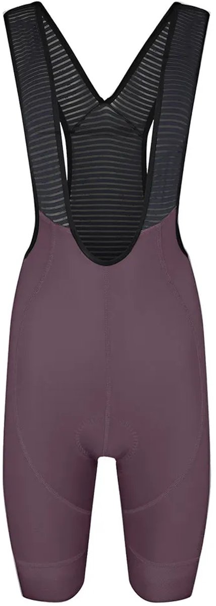 Bioracer Icon Seasonal Fietsbroek Paars XL Vrouw