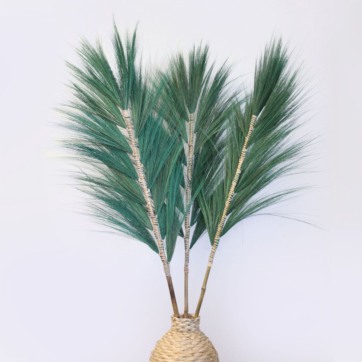 Rayung Gras Pluimen Groen - 3 Stuks - Decoratieve Pluimen - 1.6m - Handgemaakt