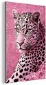 Panter, Roze