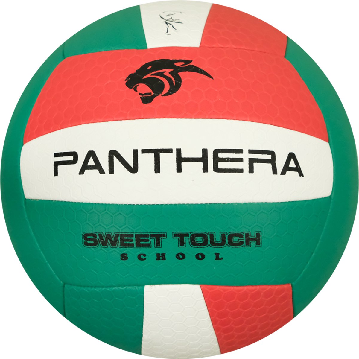 Panthera - Volleybal - Sweet touch school - Volleyballen