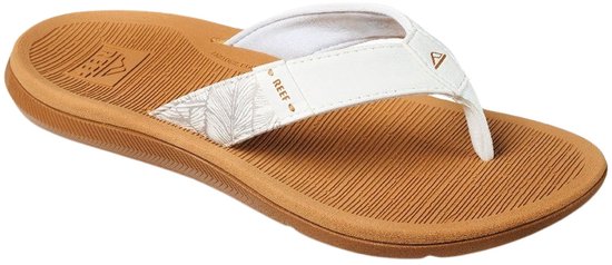 Reef Kids Santa Ana | Kampeerhal Roden