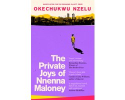 The Private Joys of Nnenna Maloney