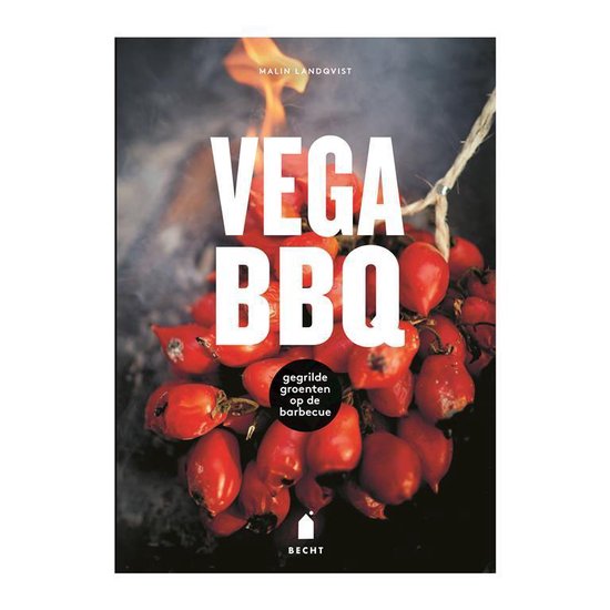 Vega BBQ - Malin Landqvist | Northernlights300.org