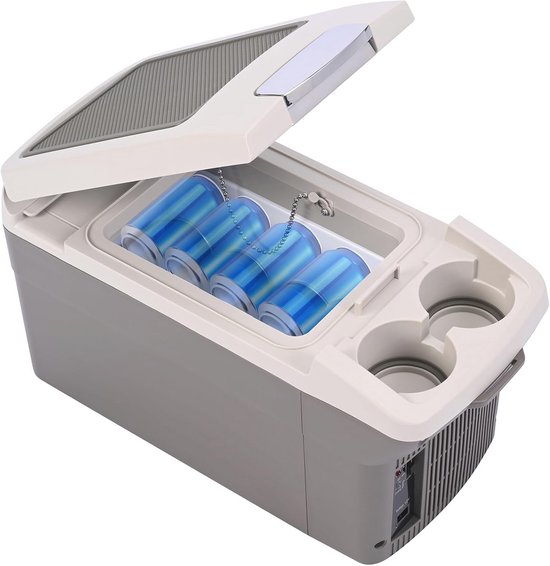 TOYOCC Kleine reisbox voor medicijnen, koelkast met grote