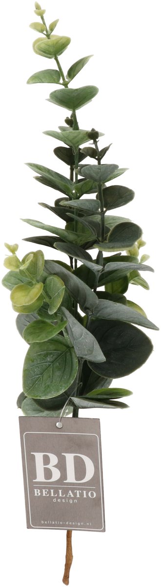 Bellatio Design Kunstbloem/kunsttak Eucalyptus Bella - 38 cm - donkergroen - kunst zijdebloemen